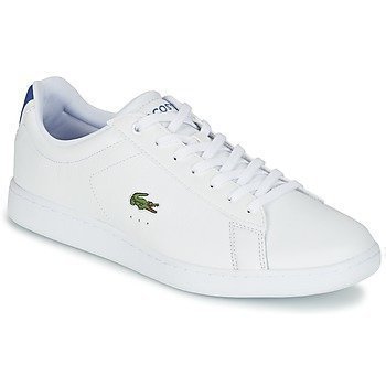 lacoste carnaby evo s216